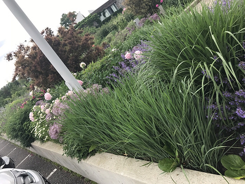 多伦多植物园