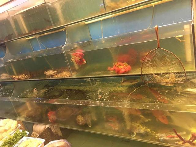 诏之味羊肉馆诏安菜馆(将军花园店)