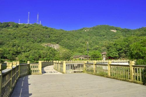 布拉夫山顶观景