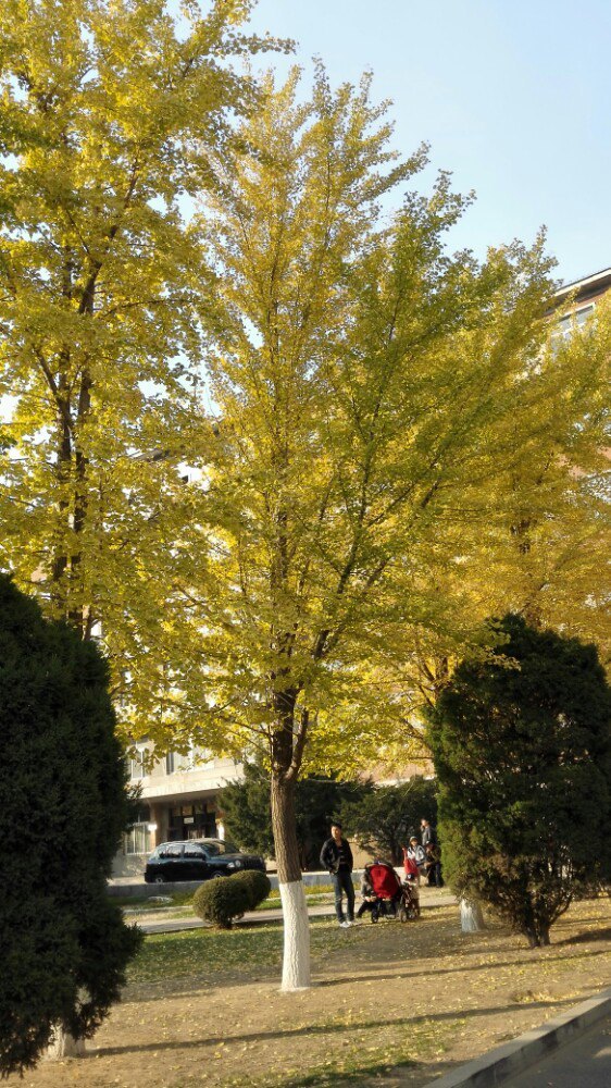 辽宁大学(崇山校区)