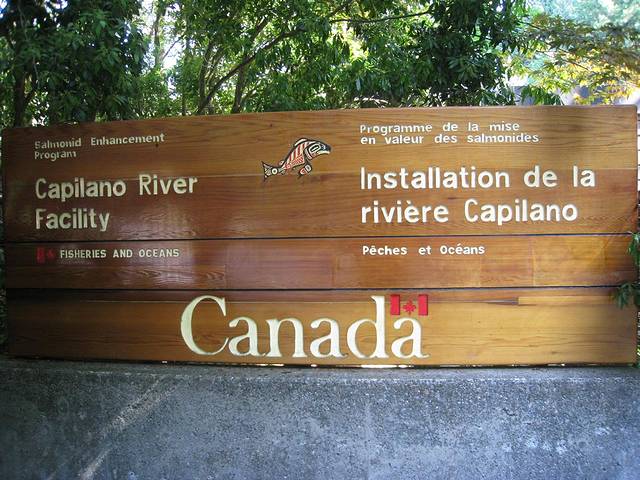 卡皮兰诺鲑鱼孵化场