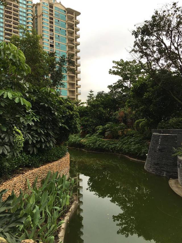 滨江公园(彩滨中路)