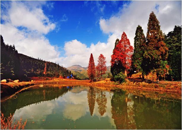 鹿湖顶自然保护区