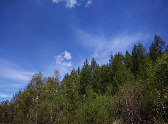 绰源国家森林公园