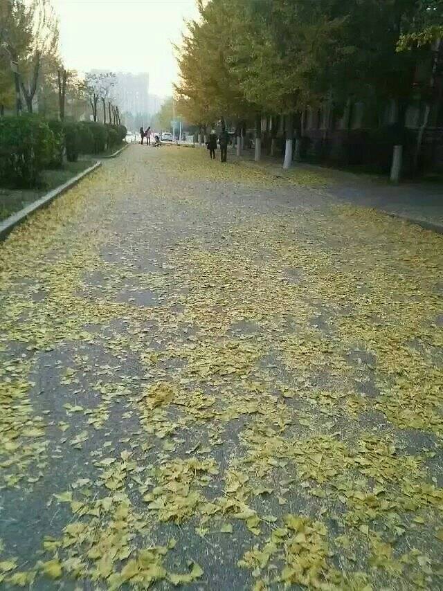 沈阳师范大学