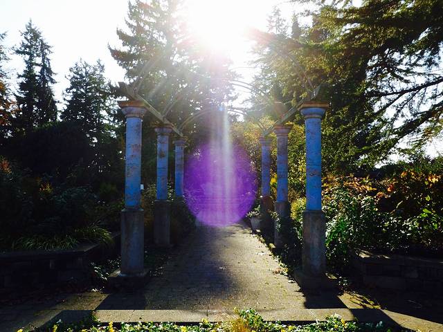 Evergreen Arboretum & Gardens