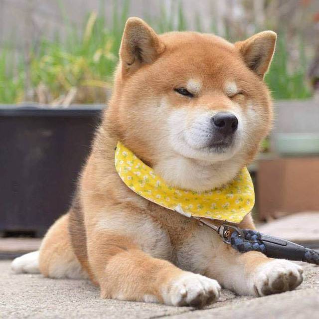 味千拉面(曲阳店)