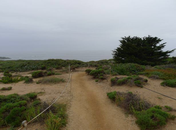 洛博斯角州立保护区