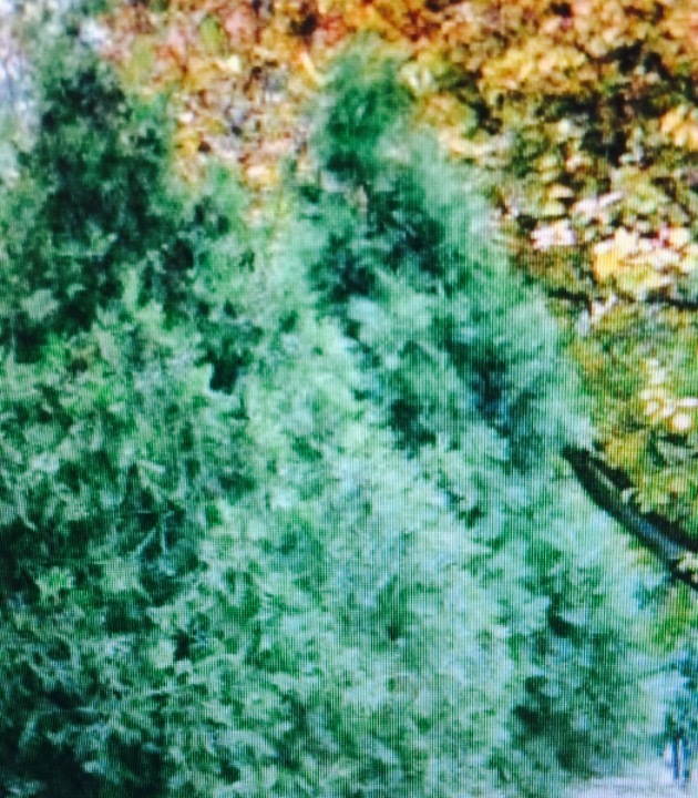 十三陵水库纪念碑公园