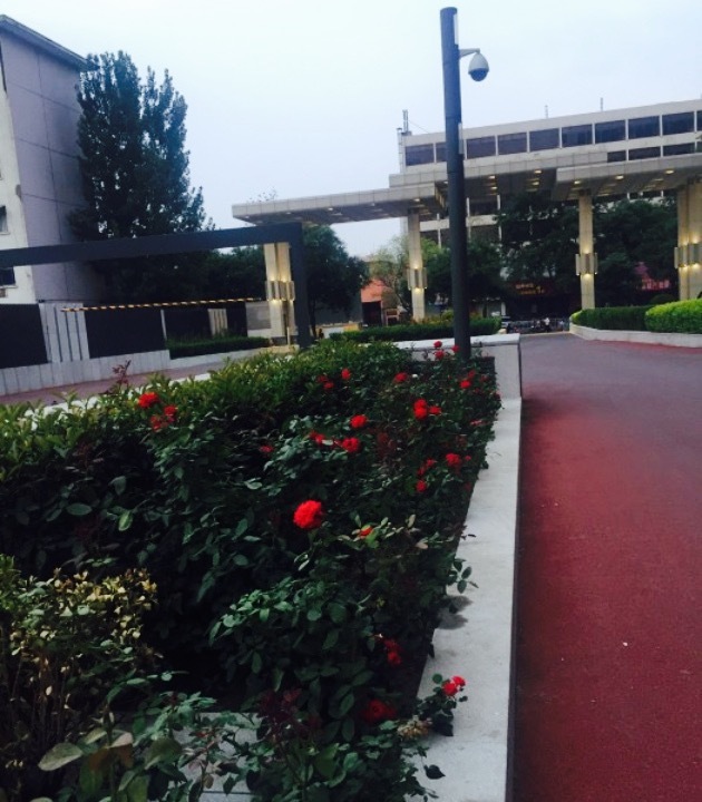 康宁大酒店(白沙店)