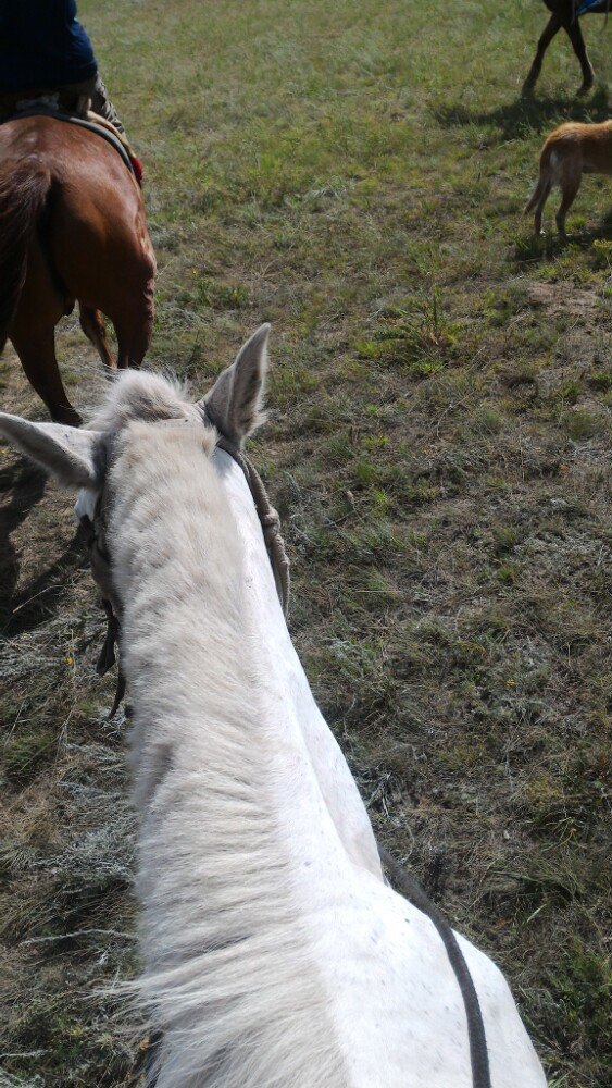 内蒙古自治区赛马场