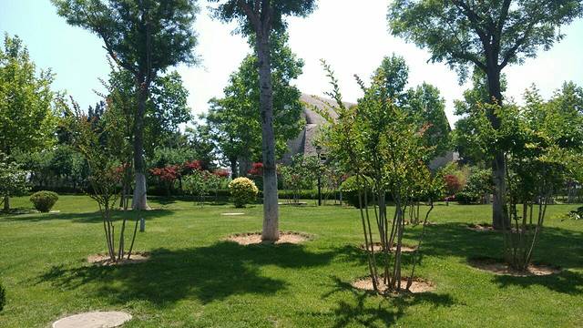 海草馆自助餐厅(悦海店)