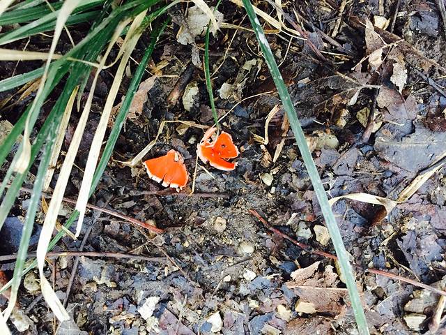 森林公园自然中心