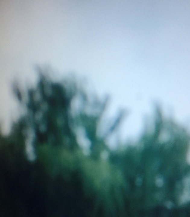 凉水河公园一区