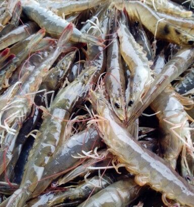 庶民居中餐馆(花土店)