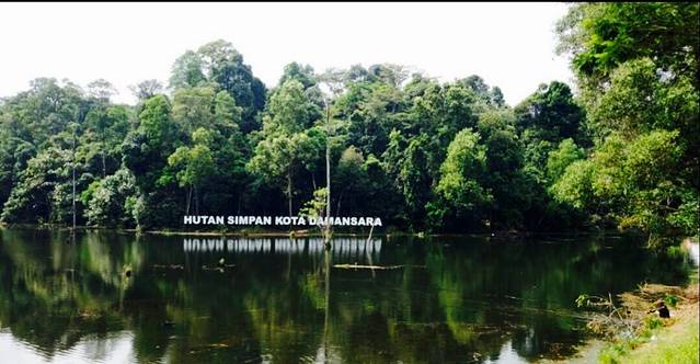 Kota Damansara Community Forest Reserve