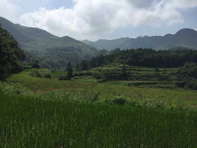 天楼山风景区