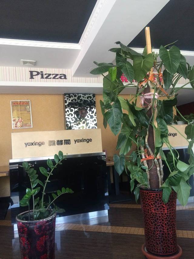 雅馨阁时尚餐厅(新城子店)