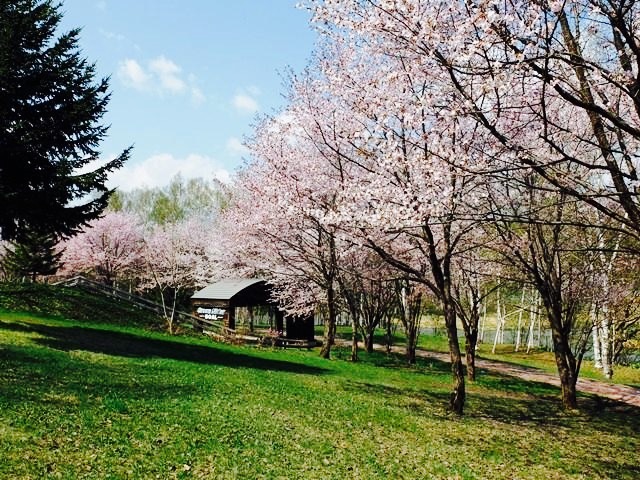 东神乐森林公园