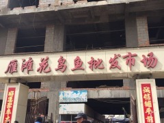 雁滩花鸟鱼批发市场