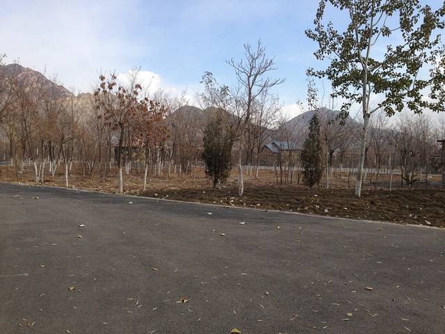 大武口森林公园