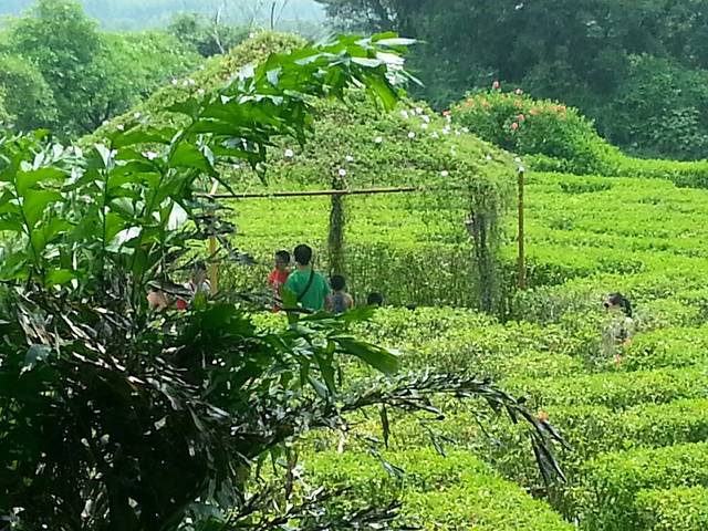 百丈园(勒流店)