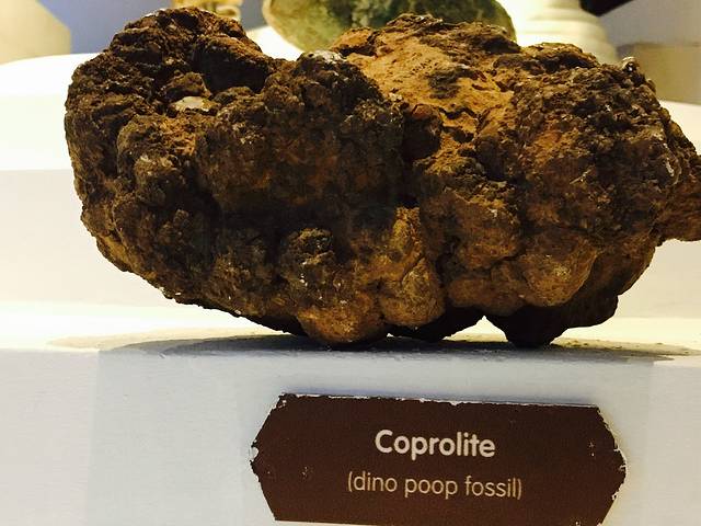 达义心灵博物馆