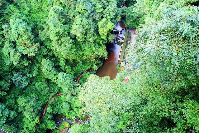 中国保护大熊猫研究中心雅安碧峰峡基地