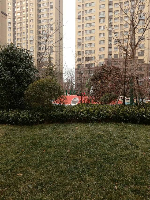 华联商厦(经二路店)