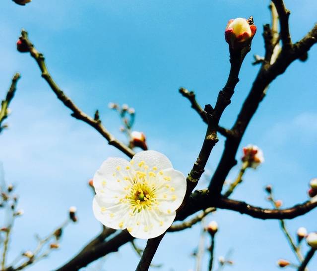 翡翠湖生态公园