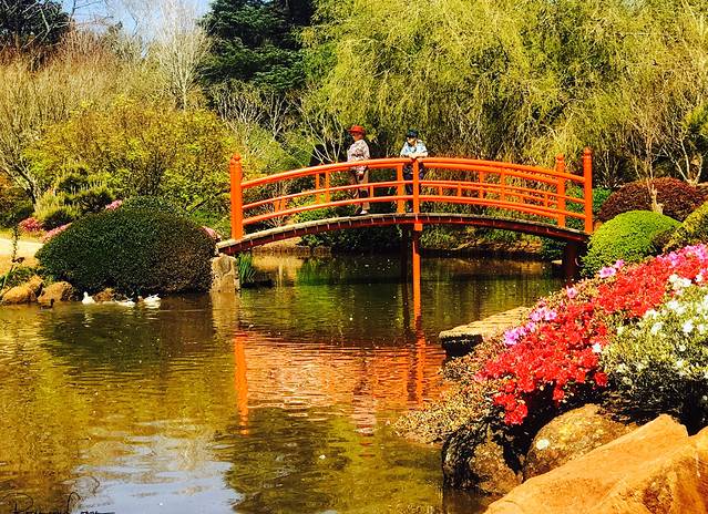 UniSQ Japanese Garden QLD