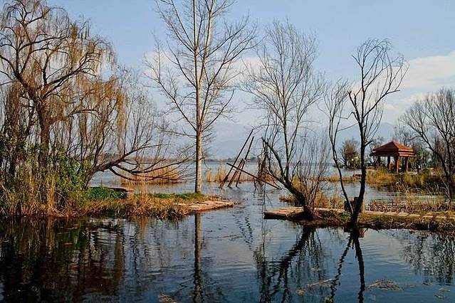 观鸟岛湿地公园