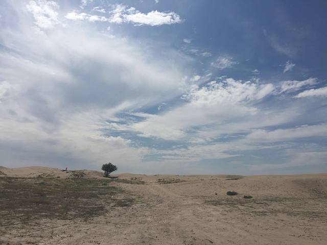 图开沙漠旅游度假区