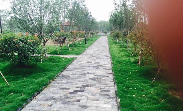 赵家庄农家菜馆