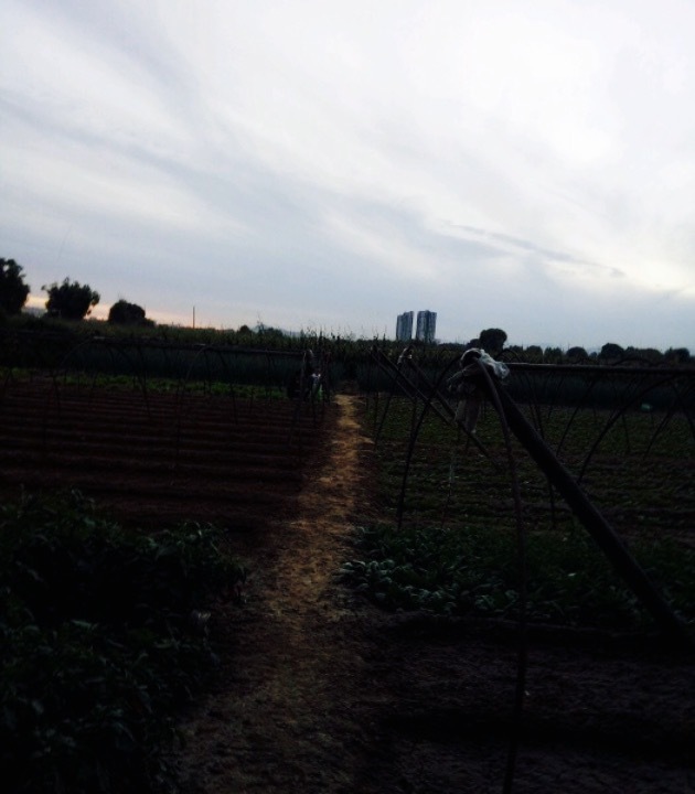 金鼎宴海鲜自助烤肉(忻州店)