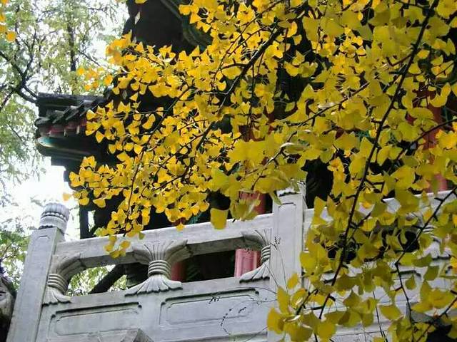 北京大观园-秋爽斋