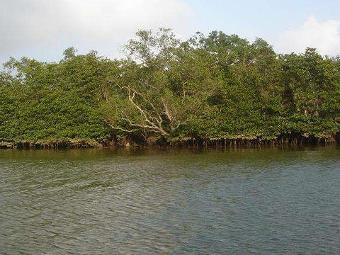 2018后港湾_旅游攻略_门票_地址_游记点评,文昌旅游景点推荐 - 去哪儿