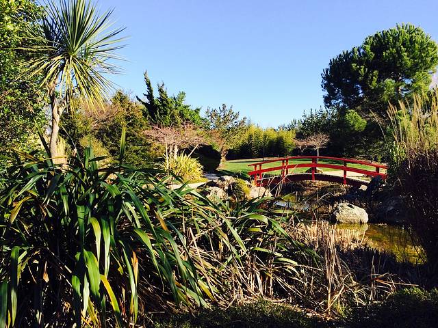 Miyazu Japanese Garden
