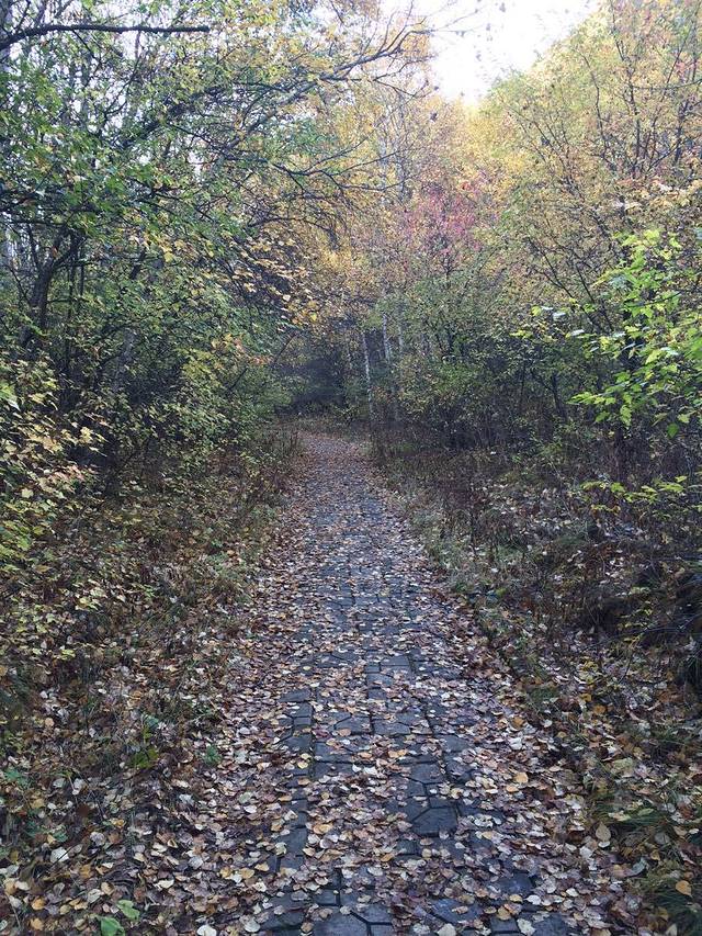 二龙什台国家森林公园