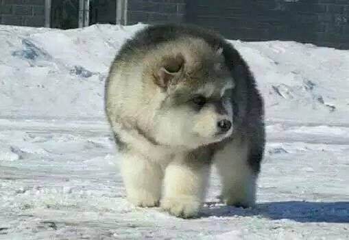 九龙奇迹海鲜大排档(万象城店)