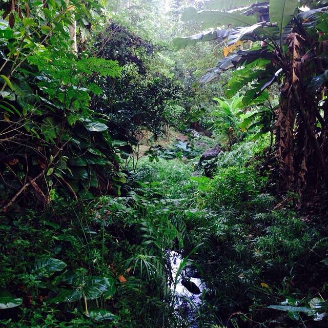 夏威夷自然中心-火奴鲁鲁