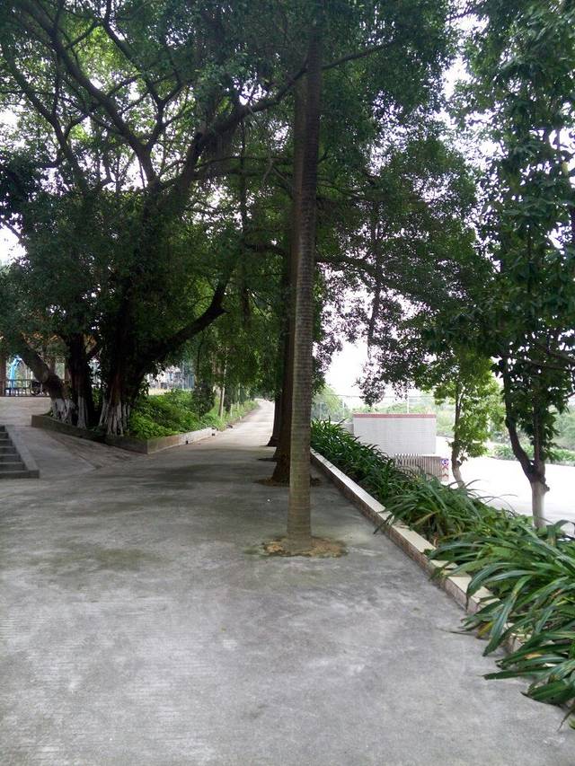 开平市人民公园