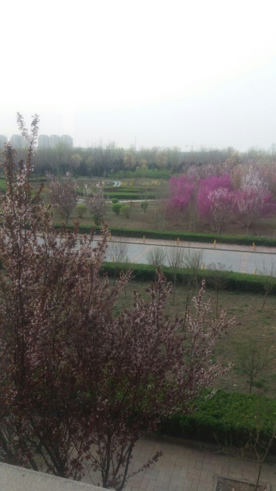 东营蓝海汇洲大酒店·黄河口风情苑