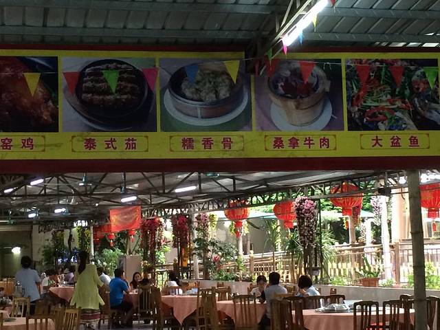 稿树下水库山庄