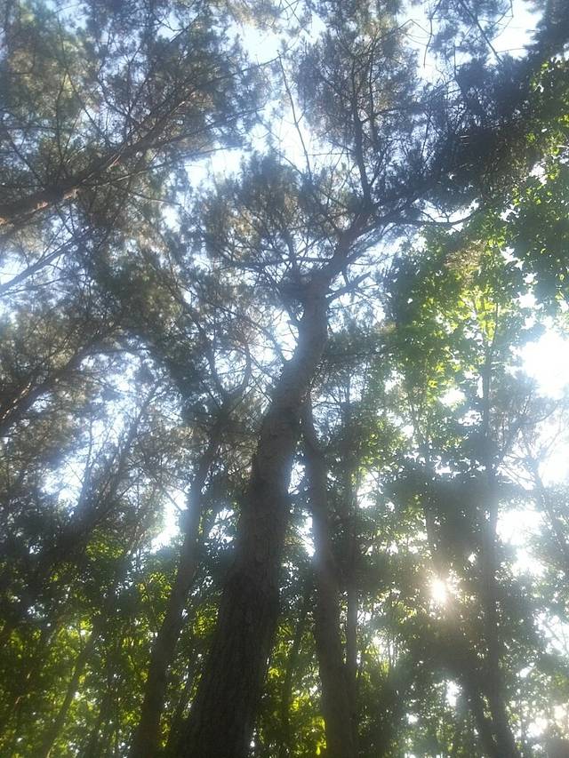 万宝湖儿童公园