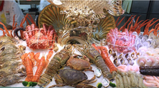 世纪金源自助餐厅