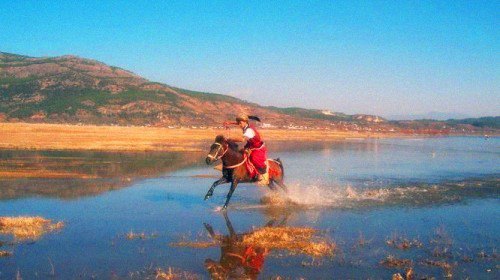 茶马古道安中马场