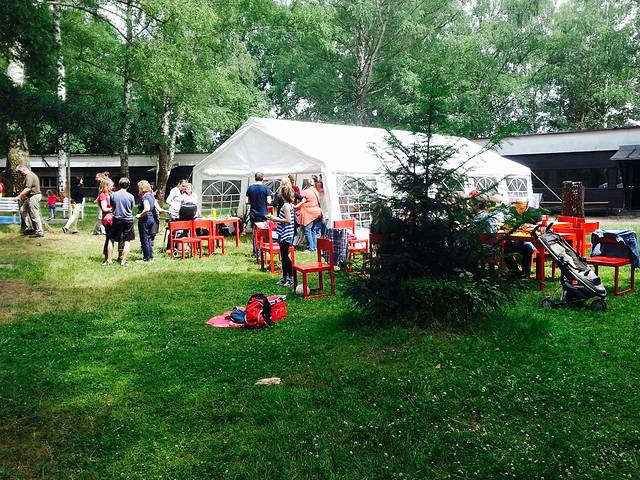 格吕内瓦尔德森林