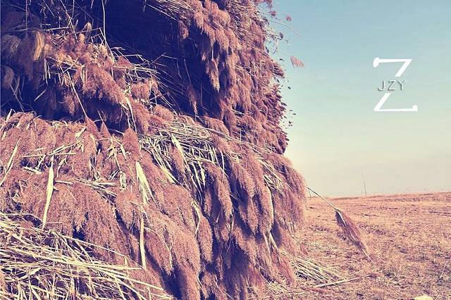 东洞庭湖国家级自然保护区