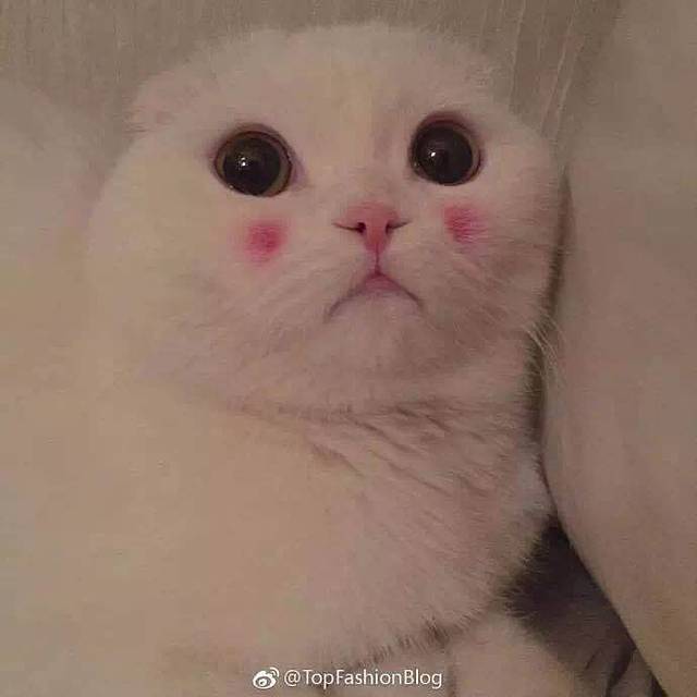 肯德基(普宁中华新城店)